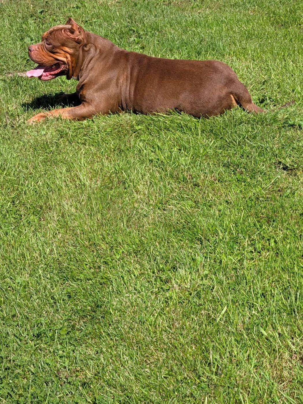 Kayla, one of our girls
